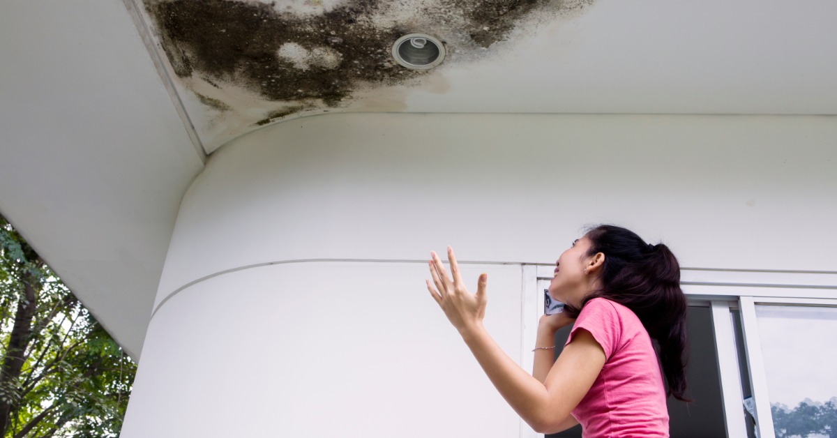 A woman wearing a pink shirt, talking on the phone while looking at a large mold stain on the ceiling of a house.