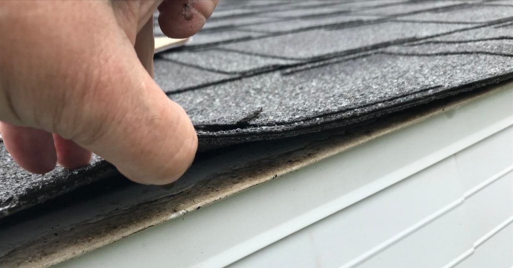 A close-up of a hand using its thumb to lift a shingle on the edge of a roof over a white wall, showing dirt.
